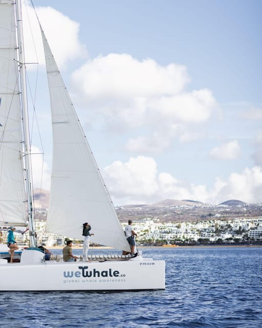 Lanzarote: Whale and Dolphin Watching Eco-Friendly Catamaran - Final Thoughts: Is This the Right Choice for You?