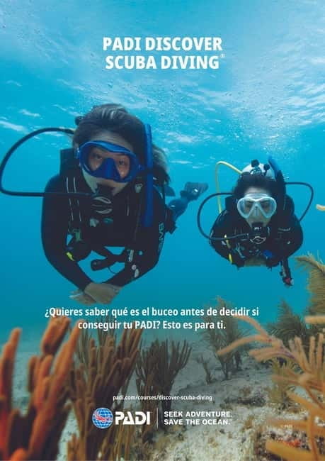 Lanzarote Your First Scuba Diving Experience - Getting to Know Lanzarote’s Underwater World