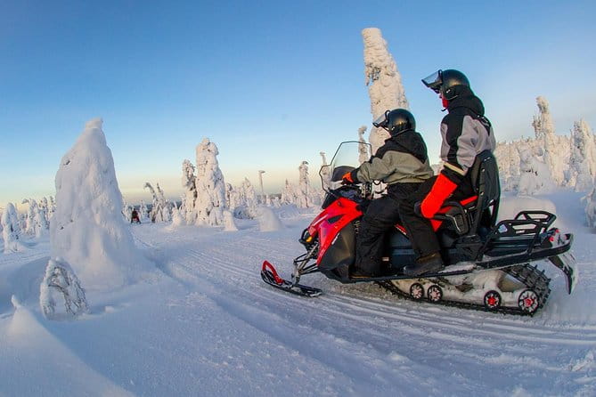 Lapland Family Snowmobile Safari from Rovaniemi - What to Expect: From Snowmobiles to Fireside Feasts