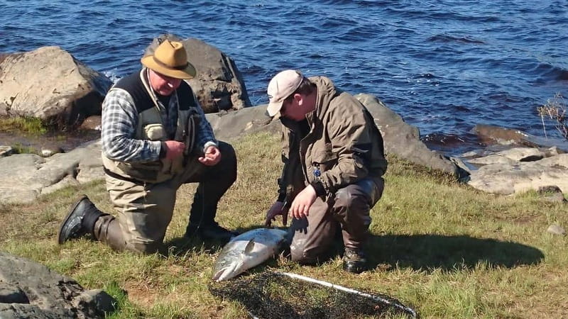 Lapland: Guided Fishing Trip - FAQ