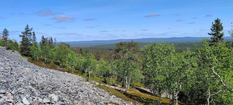 Lapland: Guided Hiking Tour in the Pristine Nature in Luosto - Exploring the Pristine Nature of Luosto