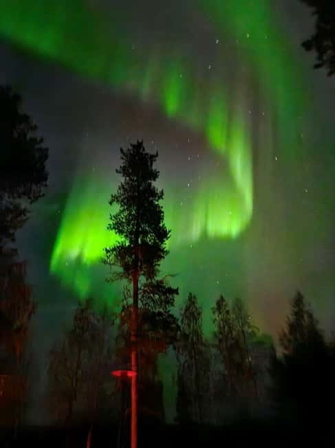 Lapland: Guided Hiking Tour in the Pristine Nature in Luosto - Final Thoughts
