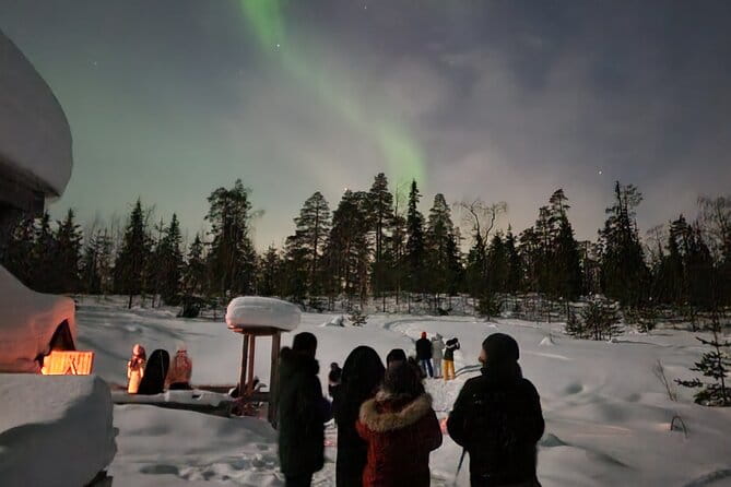 Lapland In A Day - Reindeer, Sledding, Snowmobile & Nature - Finnish Snacks & Cultural Comforts in the Kota