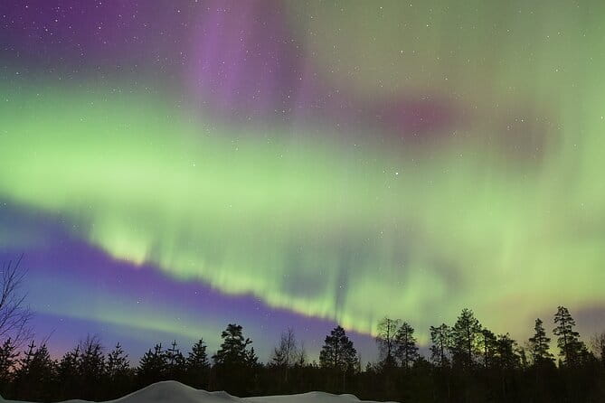 Lapland In A Day - Reindeer, Sledding, Snowmobile & Nature - Viewing the Aurora: Chance or Certainty?