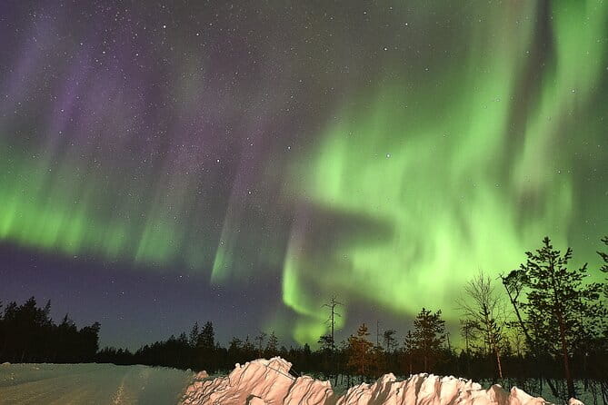 Lapland In A Day - Reindeer, Sledding, Snowmobile & Nature - Who Will Love This Tour?