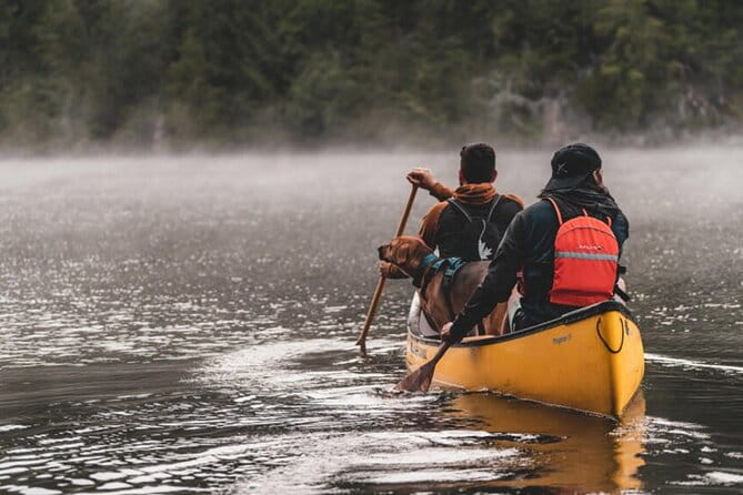 Lapland Kayak Adventure in Rovaniemi - FAQ