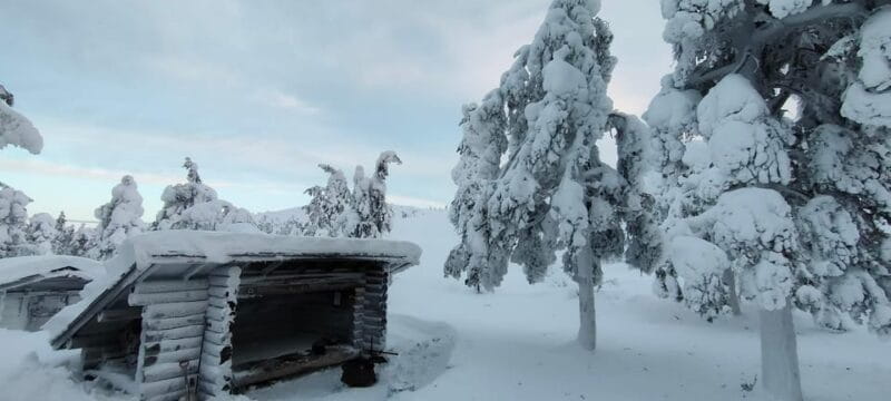 Lapland: Private VIP 7h Snowmobile Tour with Local Guide - The Itinerary: What Youll Experience