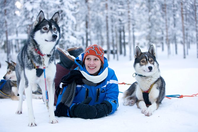 Lapland Reindeer and Husky Safari From Rovaniemi - Additional Information