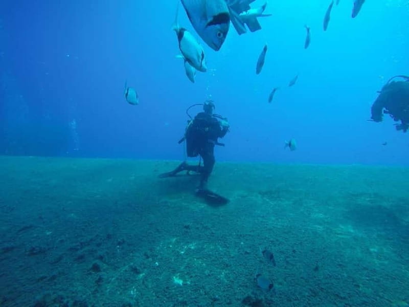 Larnaca: Private Zenobia Beginners Divers - Frequently Asked Questions