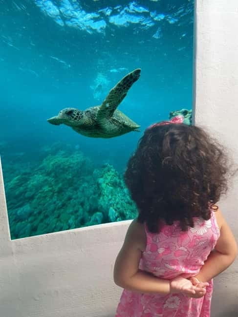 Larnaca: Yellow Submarine Mini Cruise with a Swim Stop - Introduction: A Unique Way to Explore Larnaca’s Coast