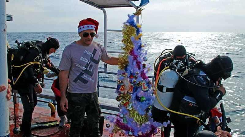 Larnaca: Zenobia Qualified Divers - Who Should Consider This Experience