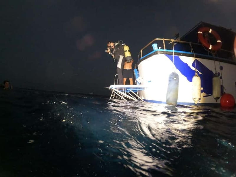 Larnaca: Zenobia Wreck Night Dive Certification With SSI - Exploring the Night Dive Experience in Larnaca