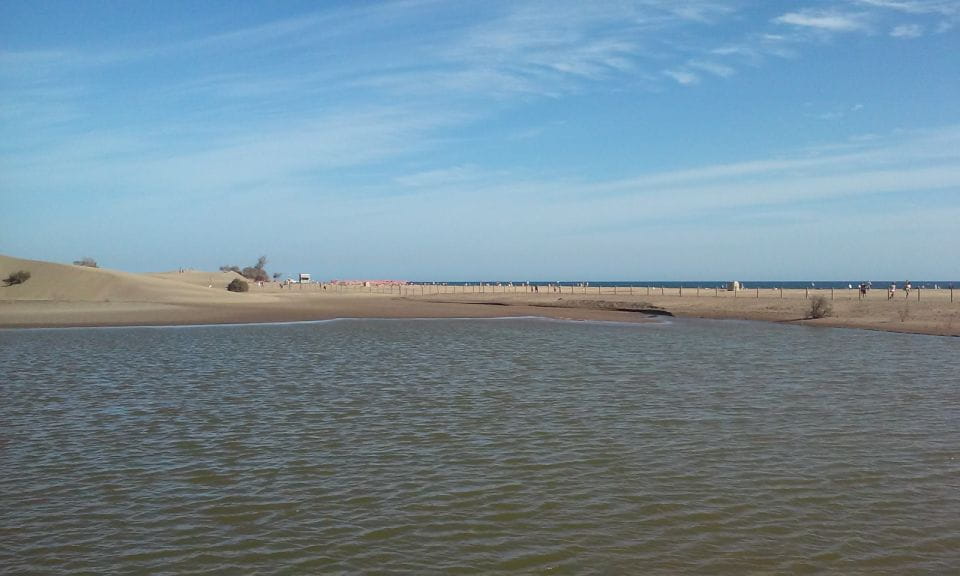 Las Palmas: 8-Hour Gran Canaria Island Highlights Tour - Itinerary Highlights