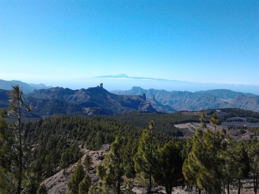 Las Palmas: 8-Hour Gran Canaria Island Highlights Tour - Booking and Reservation Tips