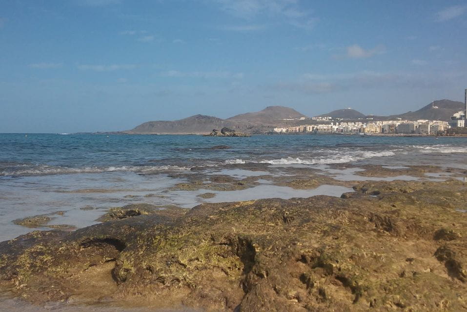 Las Palmas: Las Canteras Beach Snorkeling Trip - Key Points