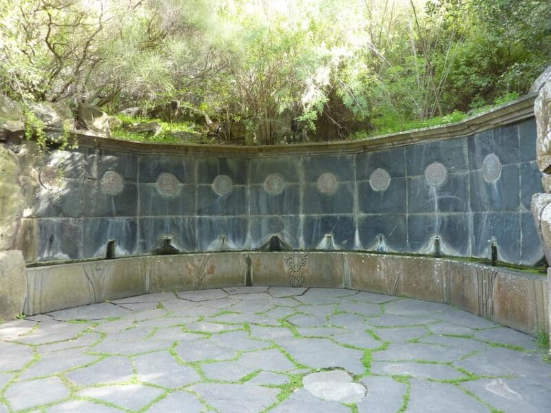 Las Palmas: Privat Botanic Garden Tour & opt. hike Extension - Final Thoughts: Is It Worth It?