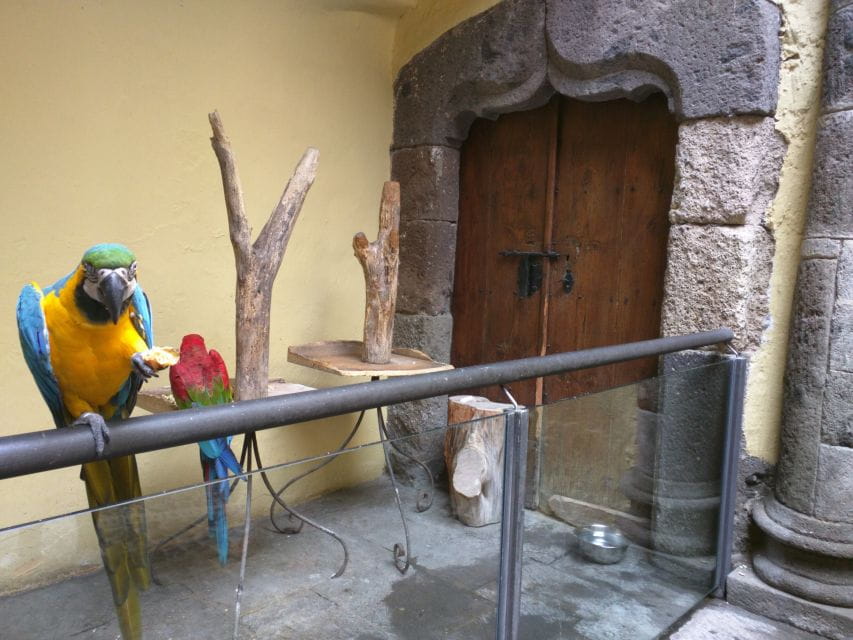 Las Palmas: Private Old City Guided Walking Tour With Tapas - Itinerary and Duration