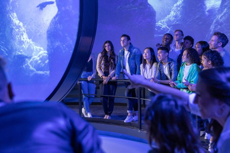 Las Vegas: Flyover in Las Vegas Experience Ticket - Immersive Film Journeys