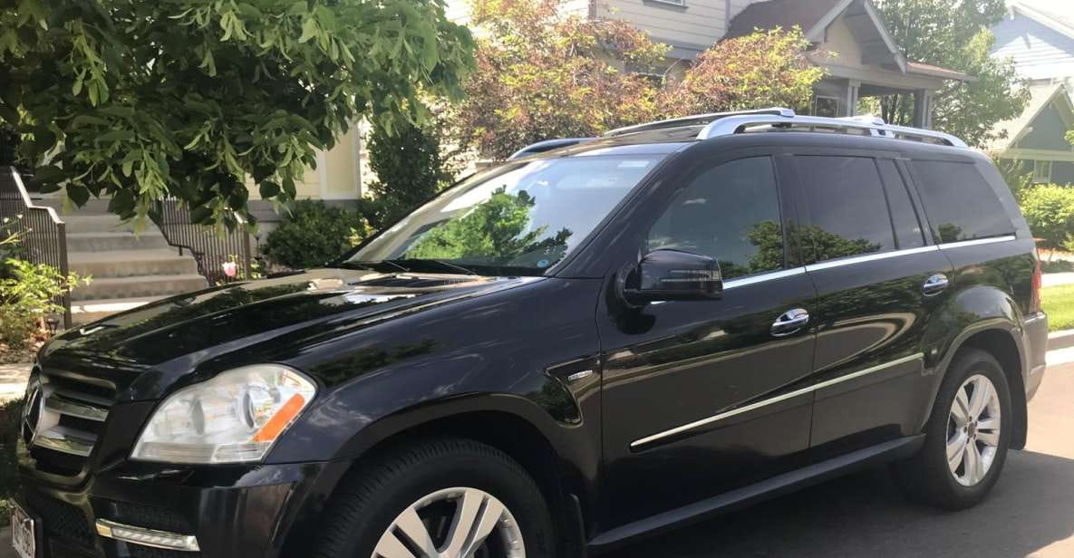 Las Vegas McCarran Airport (LAS): Transfer to Las Vegas - Air-conditioned Transportation