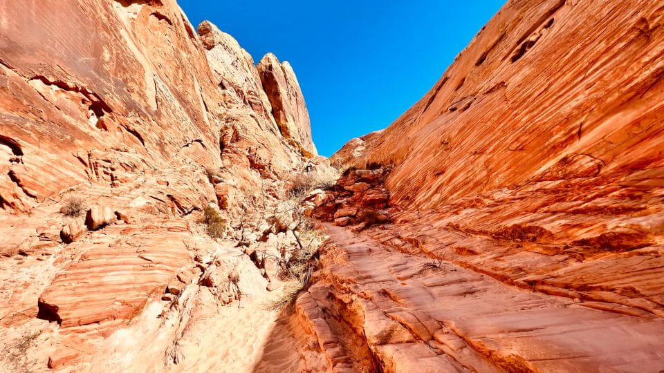 Las Vegas: Valley of Fire Scenic Tour - Group Size and Suitability