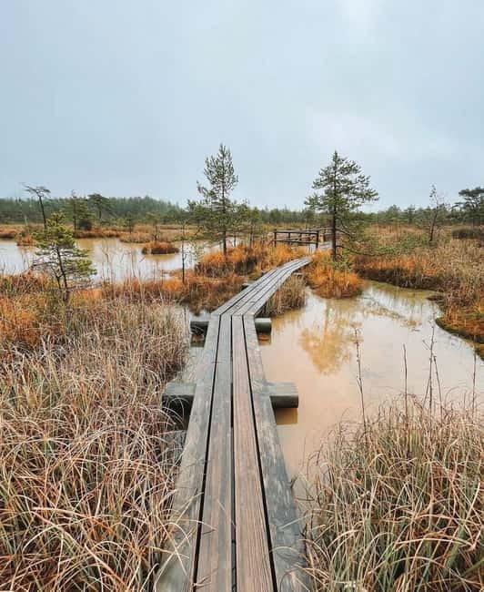 Latvian Landscapes: Kemeri & Jurmala Guided Tour - Jurmala: Latvia’s Seaside Gem