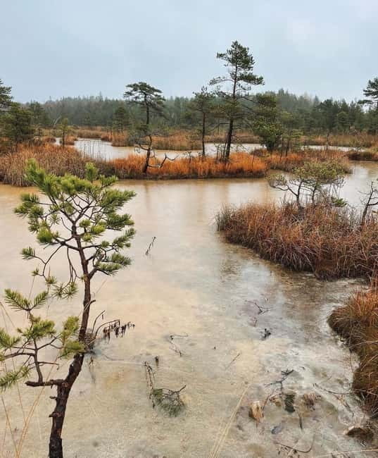 Latvian Landscapes: Kemeri & Jurmala Guided Tour - FAQ