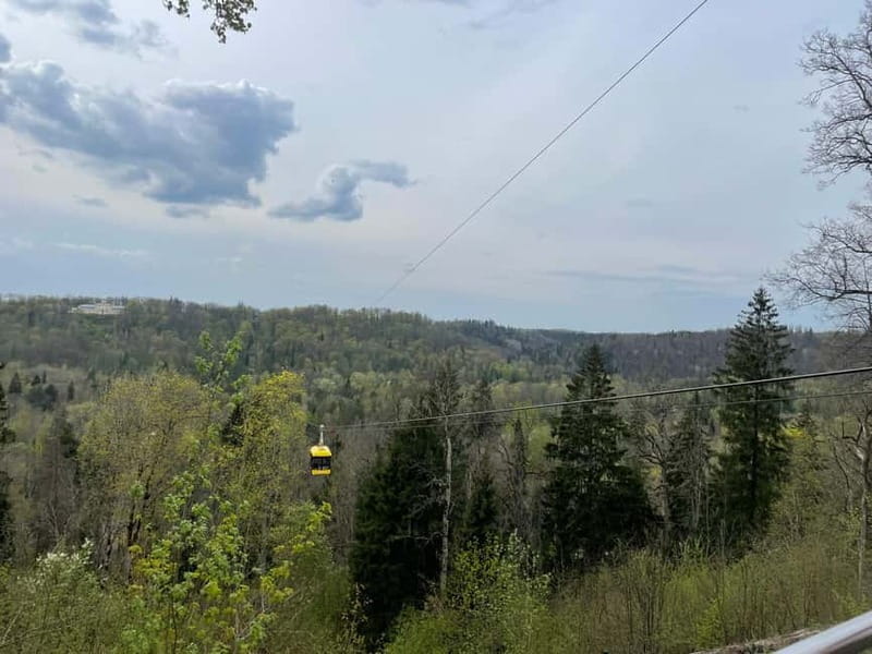 Latvian Summer Bobsleigh, Cable Car & Round Transportation - Key Points & Takeaways