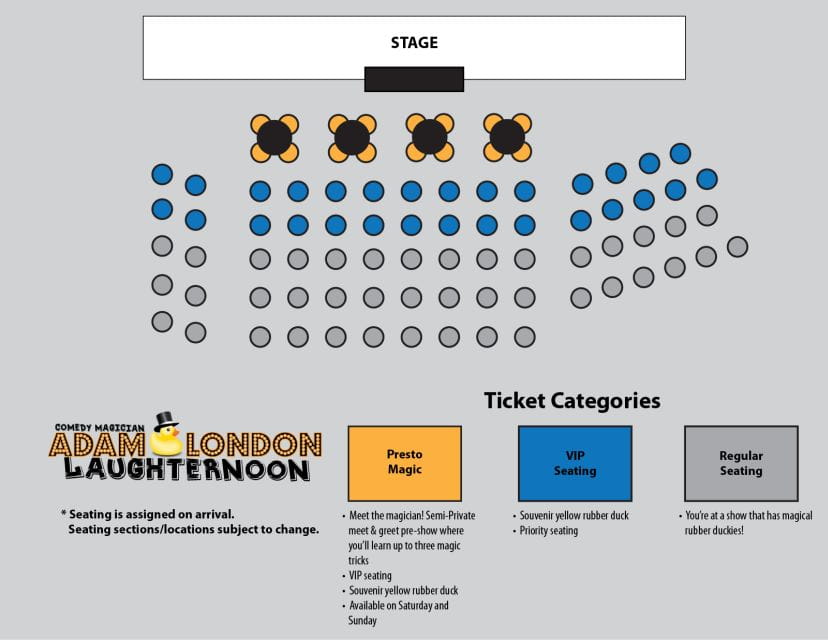 Laughternoon Comedy Magic Show - Accessibility