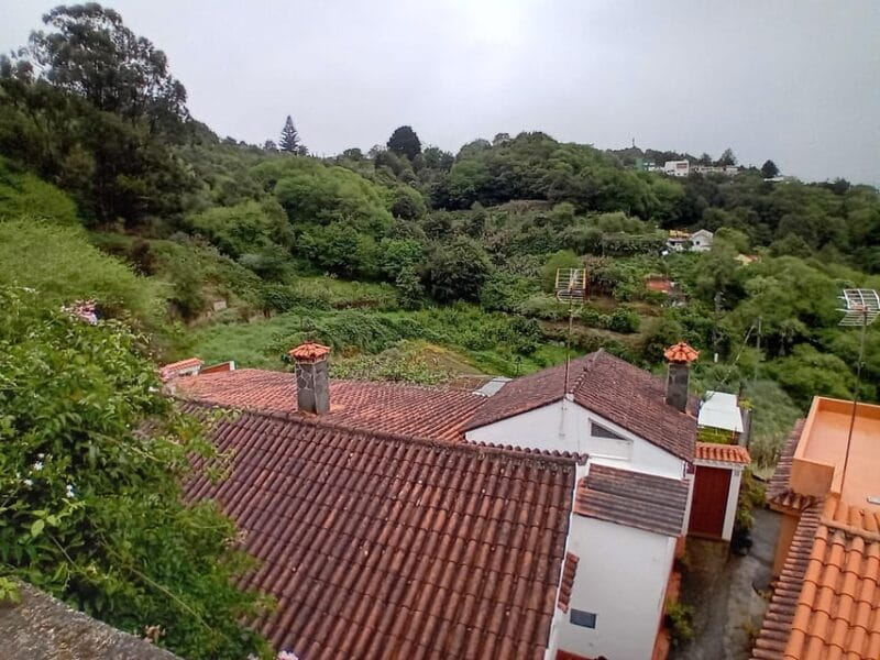 Laurisilva Forest: Hiking and Canarian cider tasting - FAQs