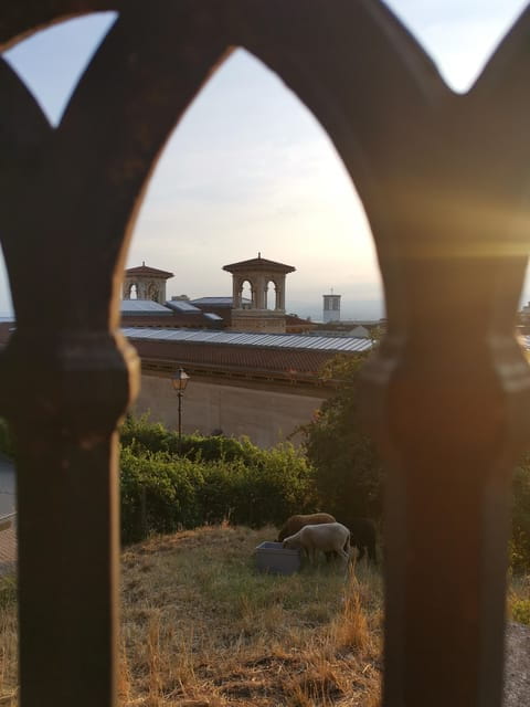 Lausanne: Old Town Guided Walking Tour - FAQs