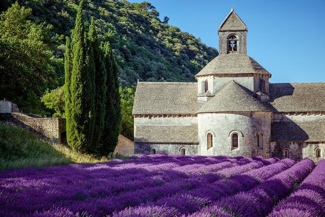Lavender Beauty Small Group Half Day Tour from Avignon - Key points / Takeaways