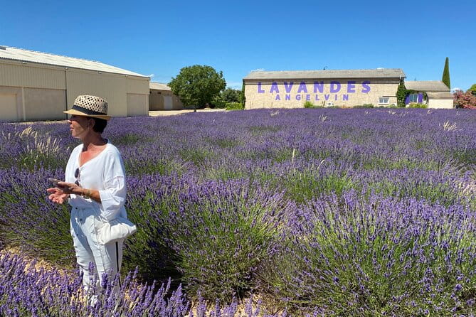 Lavender Discovery Private Tour in Provence - What Makes This Tour Stand Out
