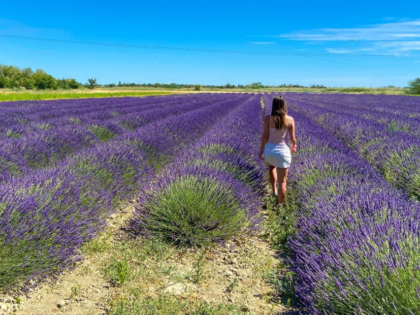 Lavender Field & Distillery Tour Between Nimes & Arles - Meeting Point and Transportation