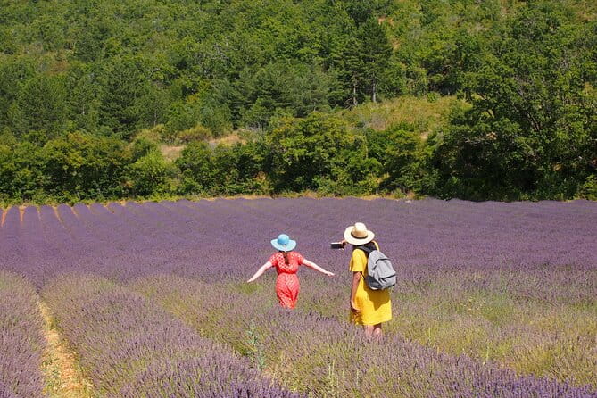 Lavender Full-day Tour in Sault From AIX-EN-PROVENCE - An Authentic Peek Into Provence’s Lavender Landscape