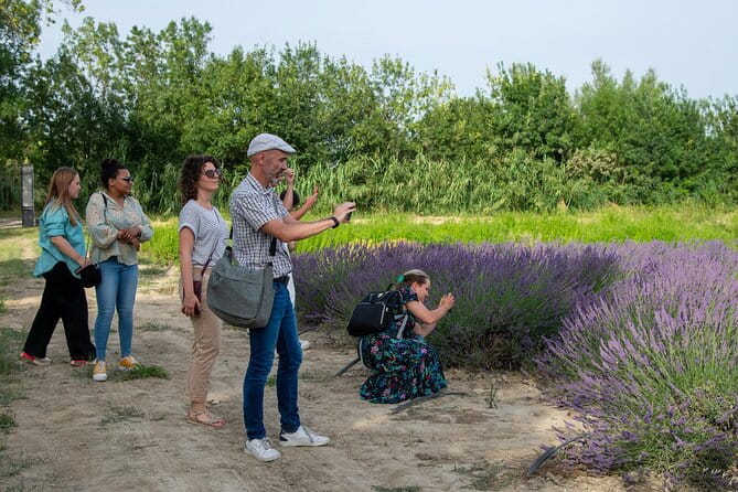 Lavender Harvesting and Distillation Workshop in Bellegarde - Key Points / Takeaways