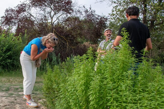 Lavender Harvesting and Distillation Workshop in Bellegarde - Discovering the Lavender Fields of Bellegarde