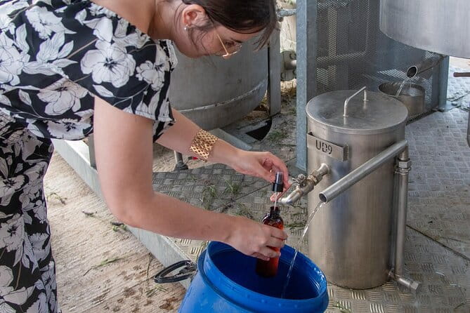 Lavender Harvesting and Distillation Workshop in Bellegarde - Practical Details: What You Need to Know