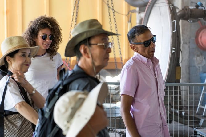 Lavender in Sault Small Group Half-Day Trip - Entering Provence’s Lavender Wonderland