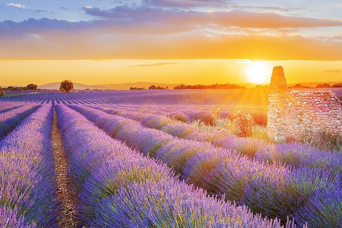 Lavender Route - Small-Group Day Trip From Avignon - Practical Information and Policies
