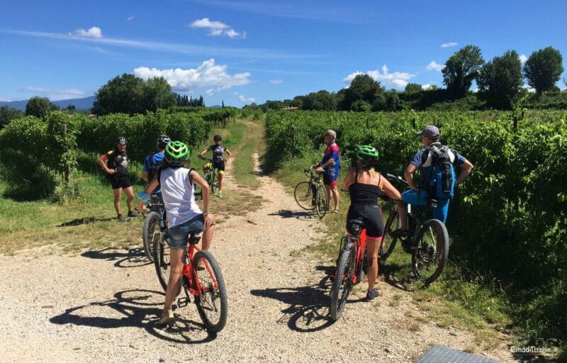 Lazise: Bike Tour and Wine Tasting - What to Expect During the Ride