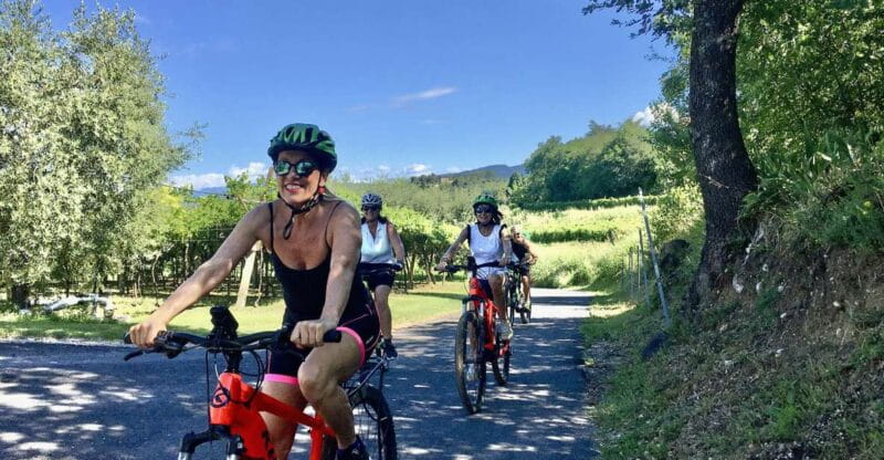 Lazise: Bike Tour and Wine Tasting - Who Should Consider This Tour?