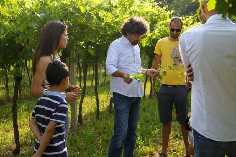 Lazise: Biodynamic Farm Tour and Natural Wine Tasting - FAQ