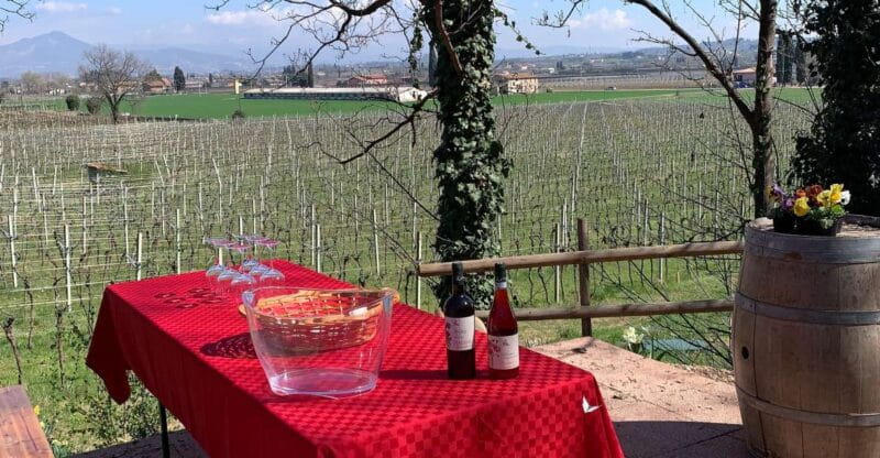 Lazise: Biodynamic Farm Tour and Natural Wine Tasting - An In-Depth Look at the Biodynamic Farm Tour