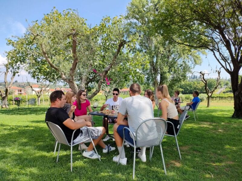 Lazise: Countryside e-Bike Tour with Wine Tasting - Key Points / Takeaways