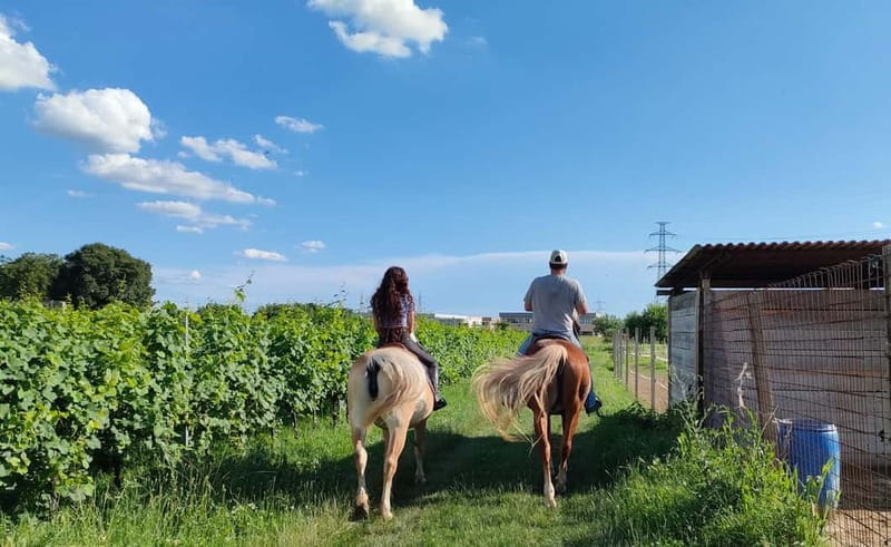 Lazise: Horseback Riding and Farm Picnic local food - A Farm Picnic with Local Flavors