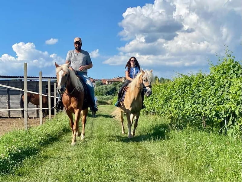 Lazise: Horseback Riding and Farm Picnic local food - Who Will Love This Tour?