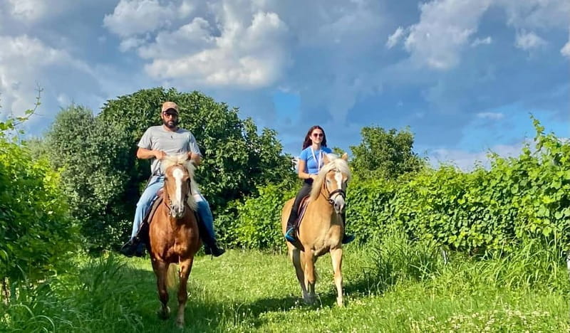 Lazise: Horseback Riding and Farm Picnic local food - Price and Accessibility