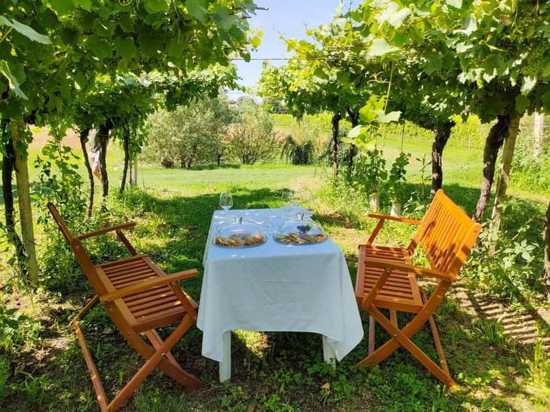 Lazise: Horseback Riding and Farm Picnic local food - FAQ