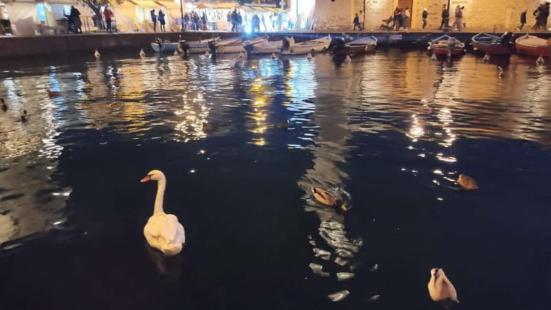 Lazise Private Tour: Timeless Charm of Lake Garda - Practical Considerations: What You Need to Know