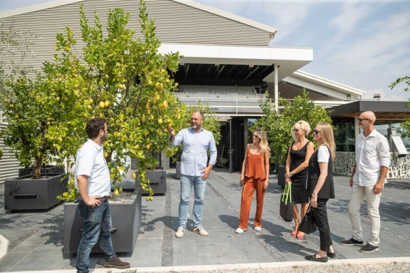 Lazise: Vineyard Tour and Organic Wine Tasting - Exploring Lazise’s Vineyard: A Deep Dive into the Experience